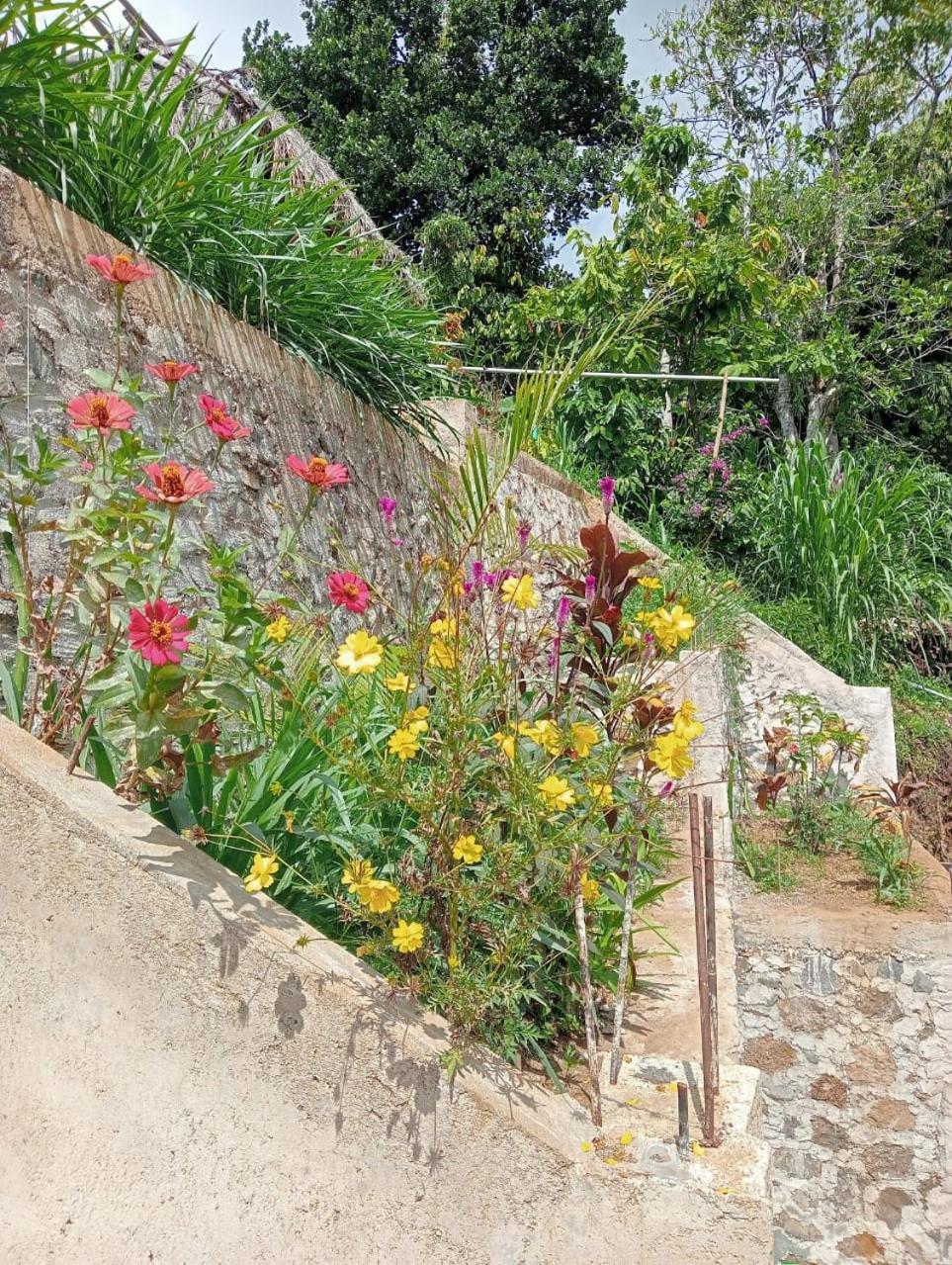 Tiu Kelep Homestay เซอนารู ภายนอก รูปภาพ